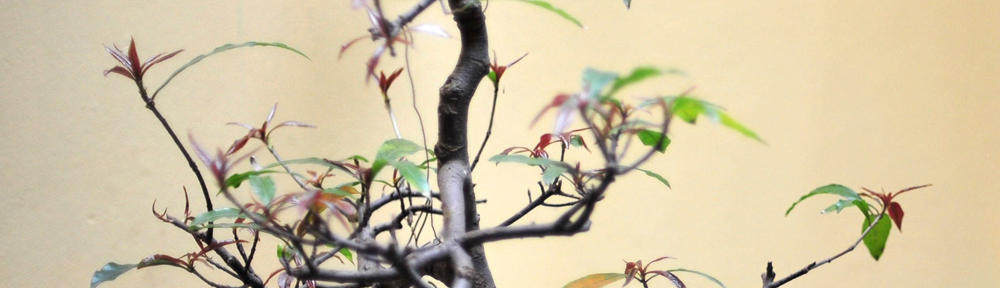 Ni en tu casa ni en la mia